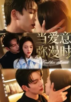 当爱意弥漫时海报