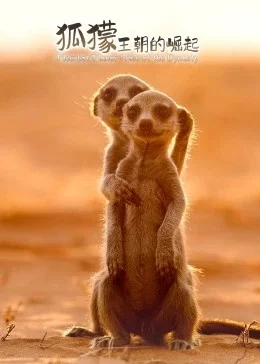 狐獴:王朝的崛起海报