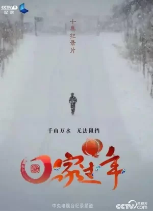 回家过年第一季海报