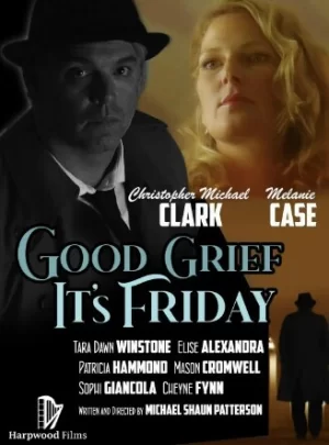 周五的秘密海报