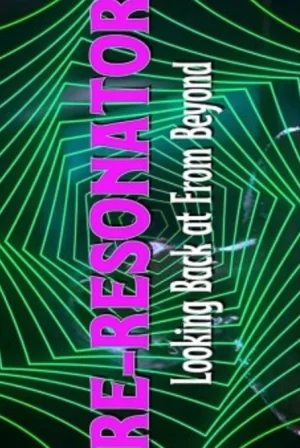 重新谐振器:从远处回望海报