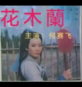 花木兰海报