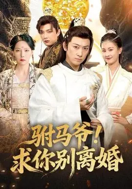 驸马爷!求你别离婚海报
