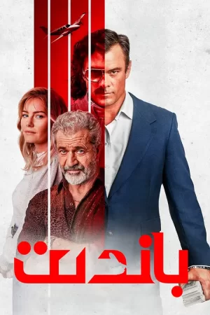 盗贼[影视解说]海报