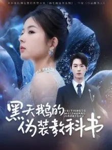 黑天鹅的伪装教科书海报