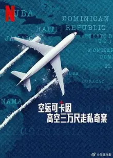 空运可卡因:高空三万尺走私奇案Ya-t-ilundealerdansl'avion海报