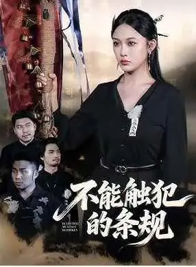 不能触犯的条规海报