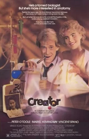 师生拍档追女仔海报