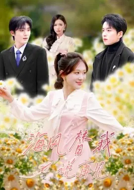 海风替我说再见海报