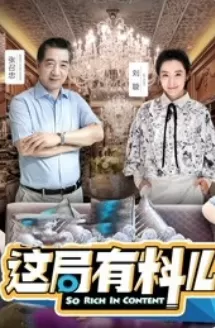 这局有料儿海报