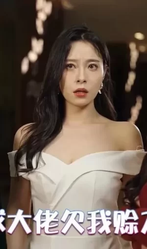 全球大佬欠我赊刀债海报