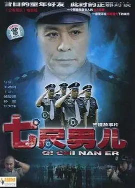 七尺男儿海报