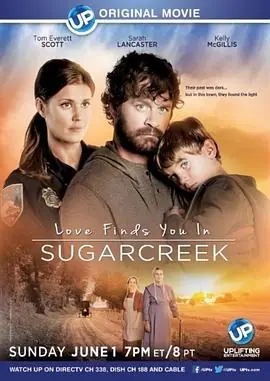 甜蜜湾之恋LoveFindsYouinSugarcreek海报