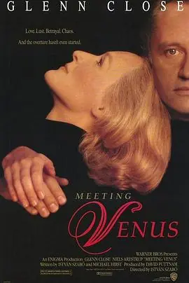 遇见维纳斯MeetingVenus海报