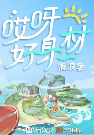 哎呀好身材3卫视版海报