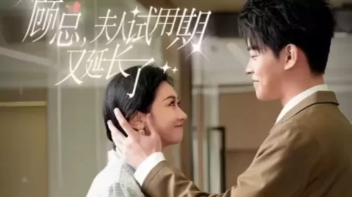 顾总,夫人试用期又延长了海报