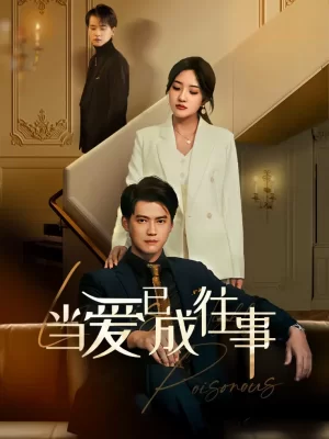 新当爱已成往事海报