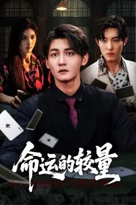 命运的较量海报