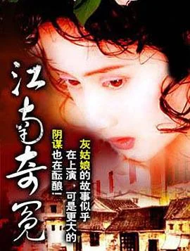 江南奇冤海报