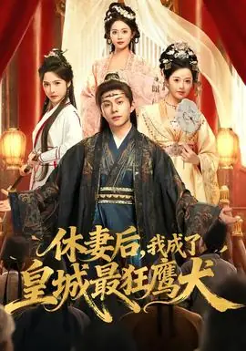 休妻后,我成了皇城最狂鹰犬海报
