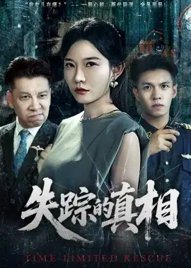 失踪的真相海报