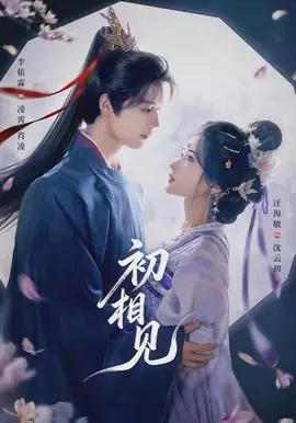 初相见海报