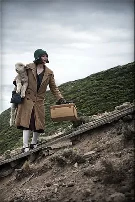 孤独的南方海报