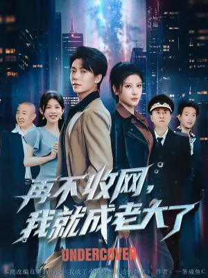 再不收网,我就成老大了海报