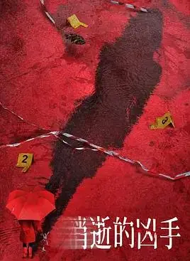 消失的凶手海报