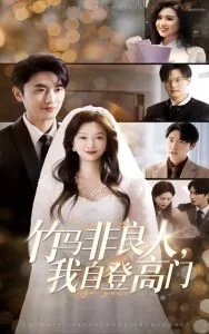 竹马非良人,我自登高门海报