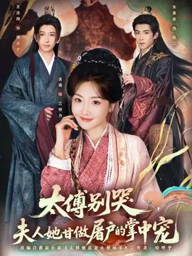 太傅别哭,夫人她甘做屠户的掌中宠海报