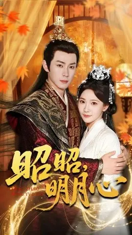 昭昭,明月心海报