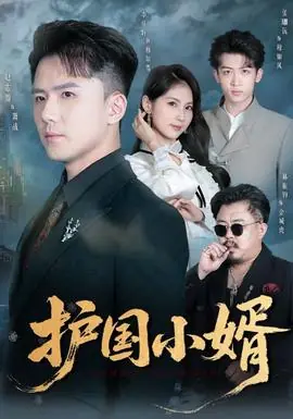 护国小婿海报