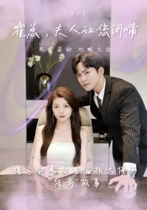 霍总,夫人让您闭嘴海报