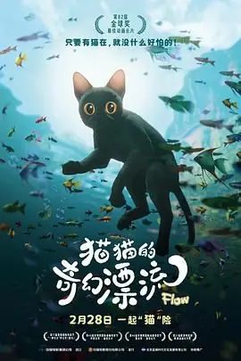 猫猫的奇幻漂流海报