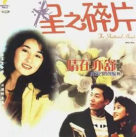 情在亦舒星之碎片海报