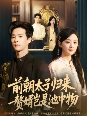 前朝太子归来,赘婿岂是池中物海报