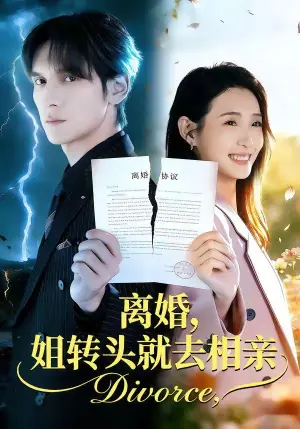 离婚,姐转头就去相亲海报