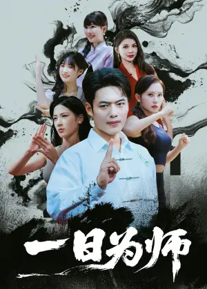 一日为师海报