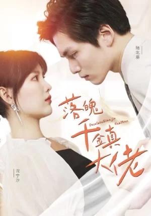 落魄千金真大佬海报