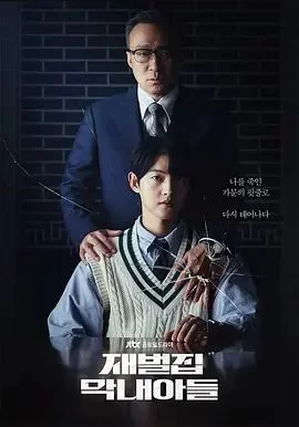 财阀家的小儿子第一季海报