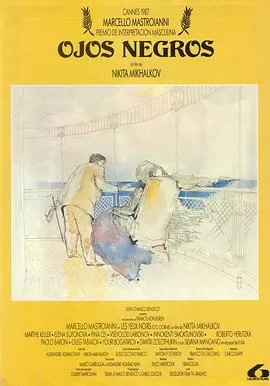 黑眼睛[电影解说]海报