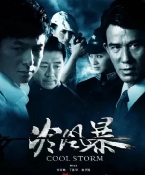 冷风暴海报
