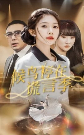 候鸟停在谎言季海报