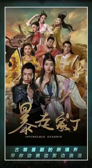 暴走家丁海报