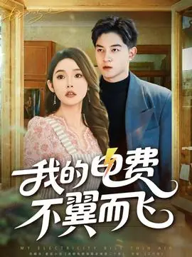 我的电费不翼而飞海报