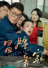冒牌亲家海报