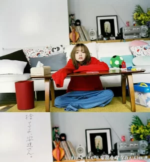 丢掉吧,安达女士.海报