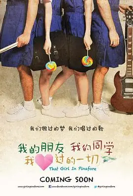 我的朋友,我的同学,我爱过的一切海报