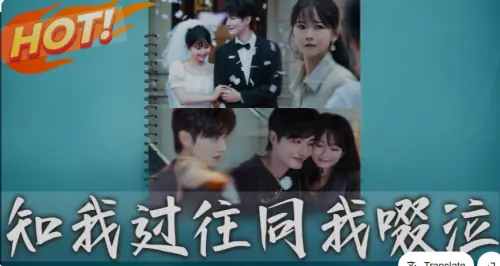 知我过往同我啜泣海报
